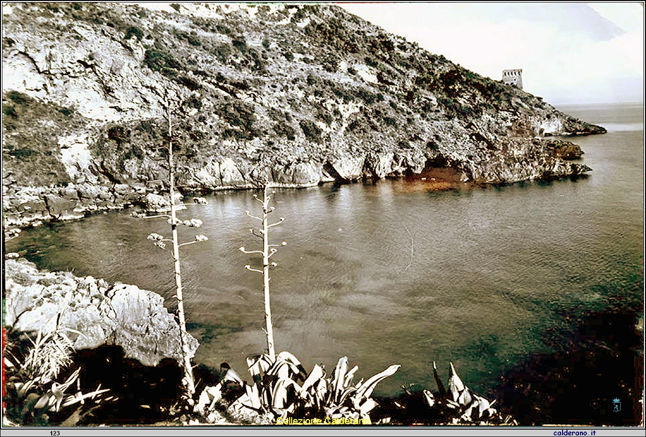 Carftolina - Il Porto - 1962.jpg