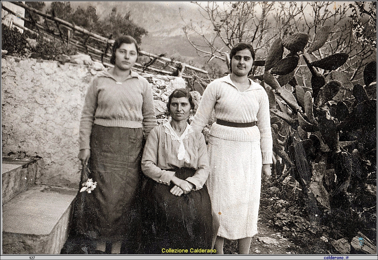 Da un album di una famiglia di Maratea A 30b.jpg