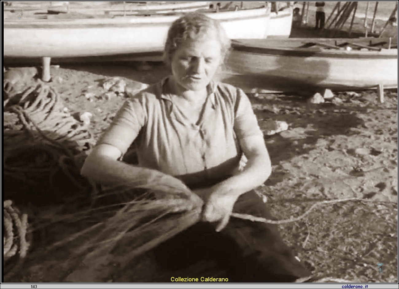 Drosolina Di Flora - Rosalia.jpeg