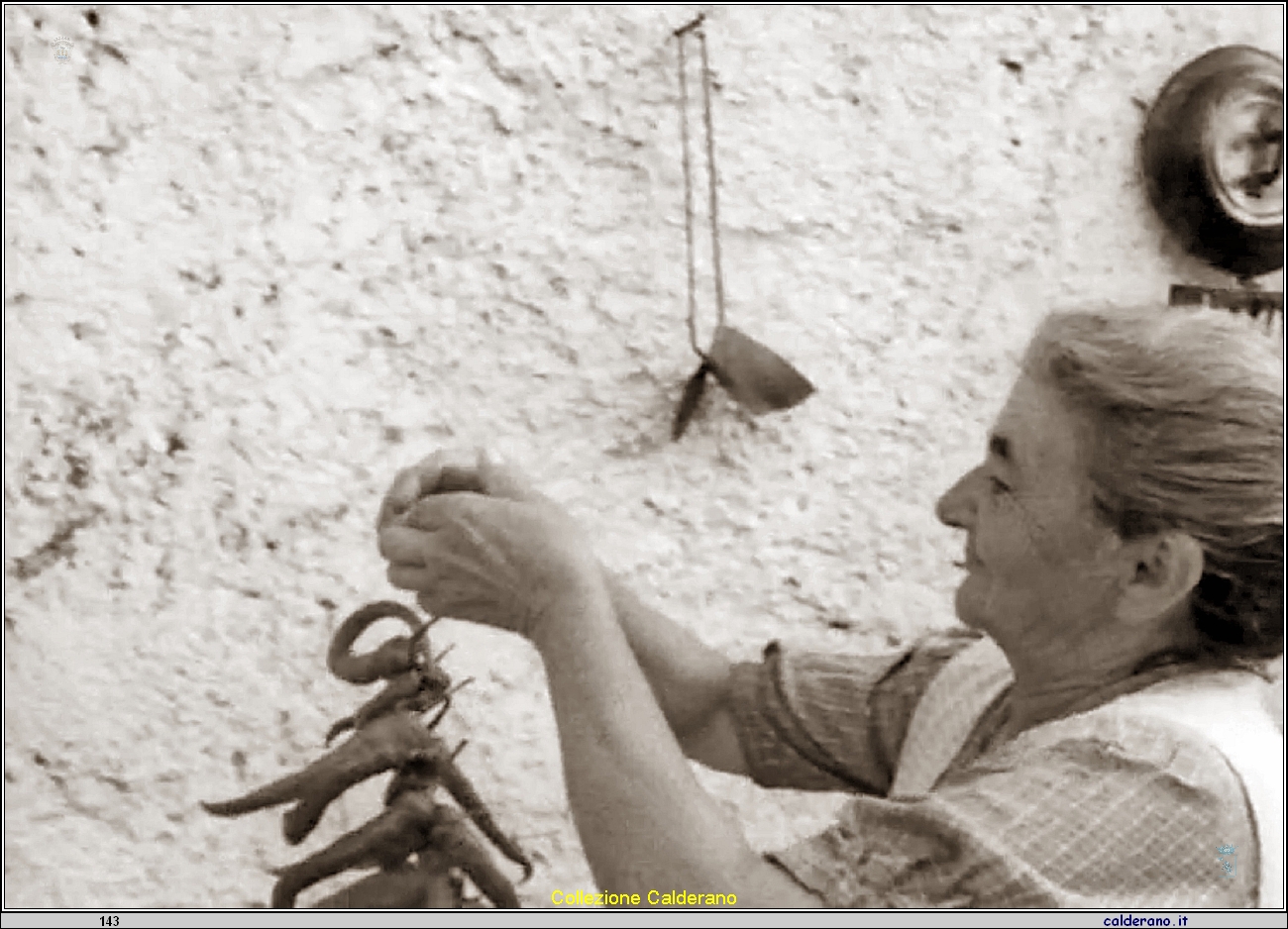 Gerania Raele in Di Puglia.jpeg