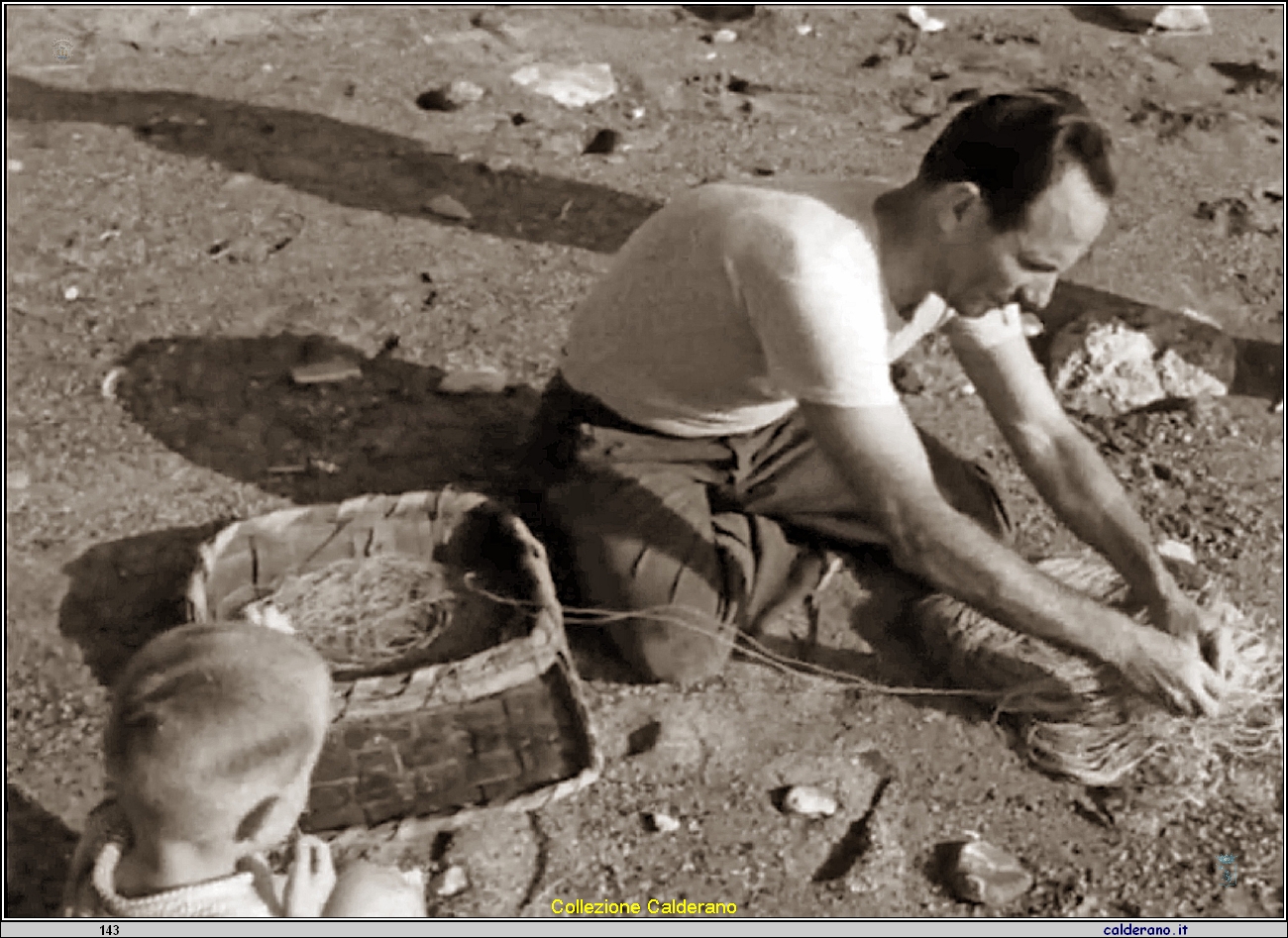 Gerardo Zaccaro Cilarduzzu.jpeg