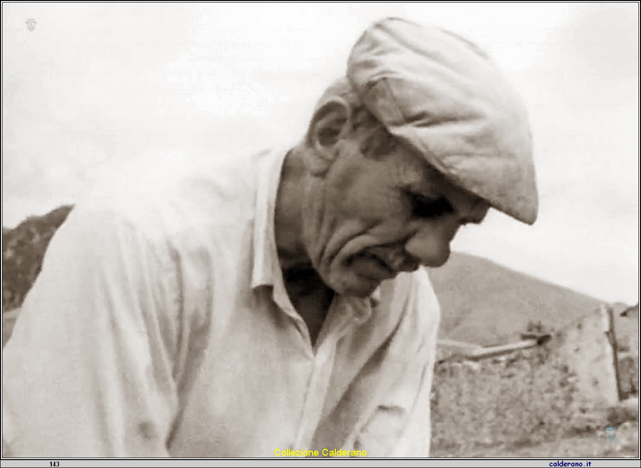 Giuseppe D'Alascio Catambano.jpeg