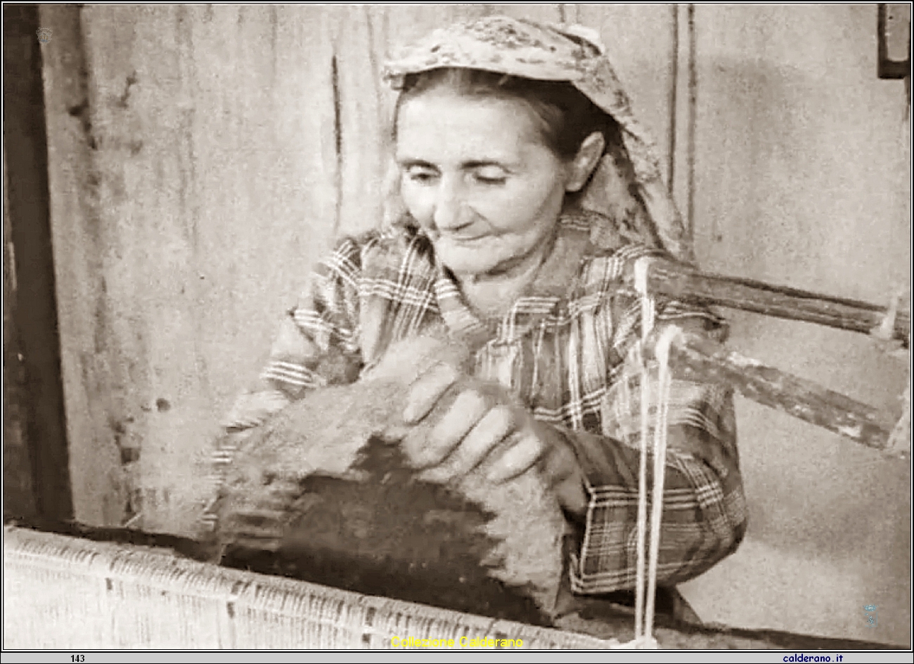 Giuseppina Fontana.jpeg