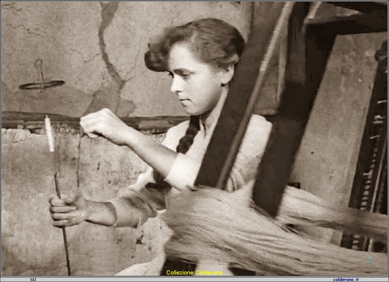 L'allieva tessitrice.jpeg