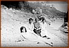 Lastre fotografiche 40.jpeg