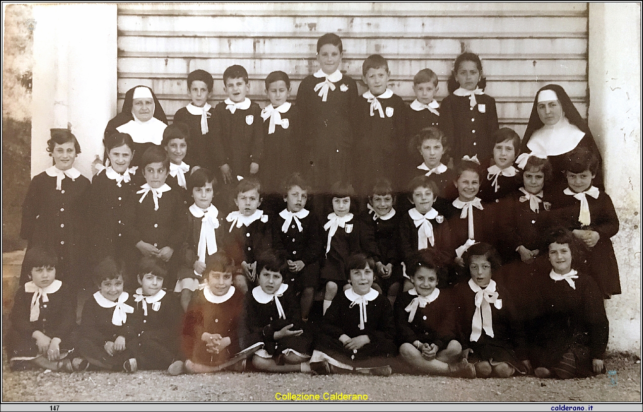 Alunni delle Scuole Elementari.jpg