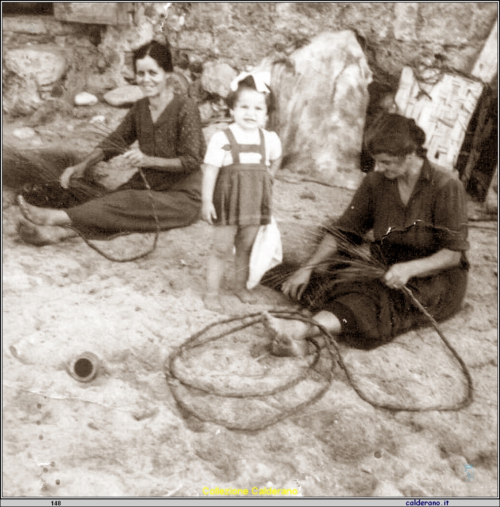 Il primo Filo dei libani.jpg