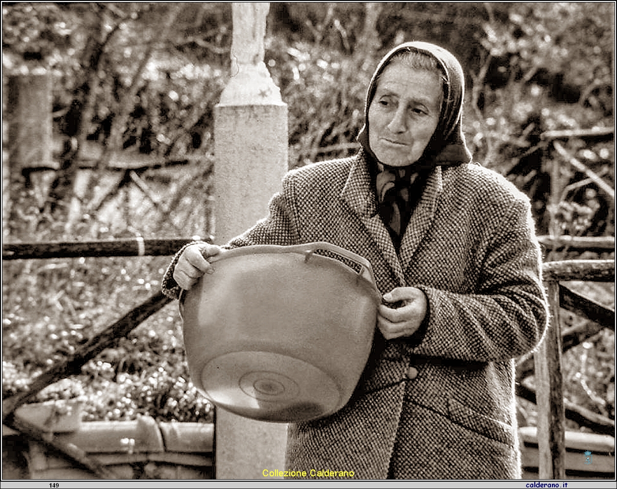 Marcella Mercedes Brando.jpg