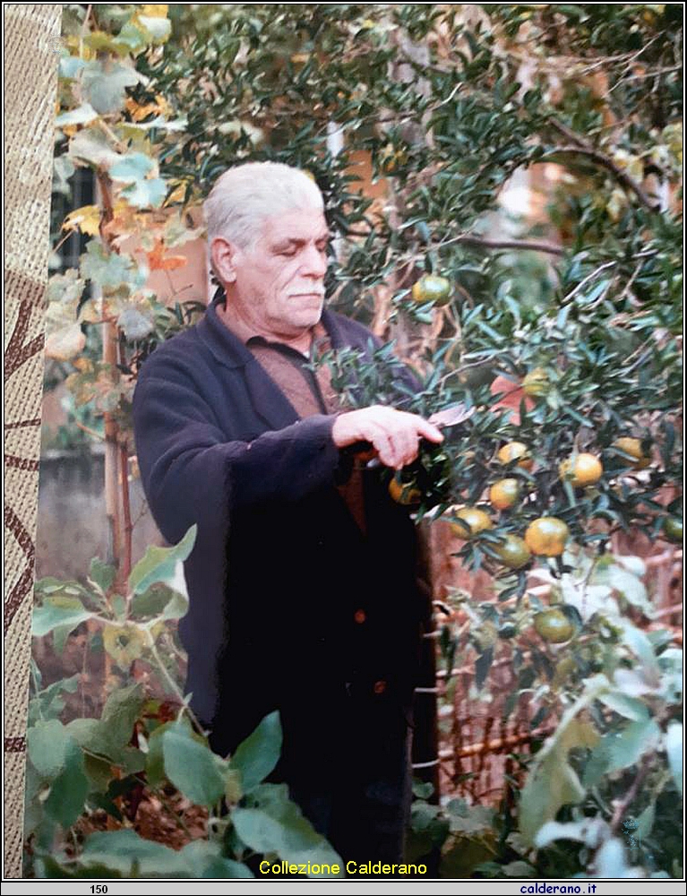 Giovanni Talarico.jpg