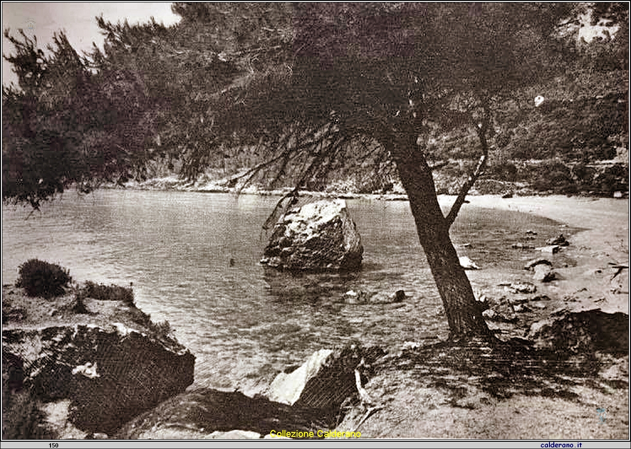 Spiaggia di Fiumicello.jpg