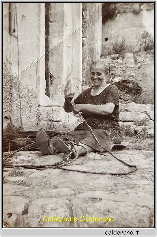 Il primo filo dei libani.jpg