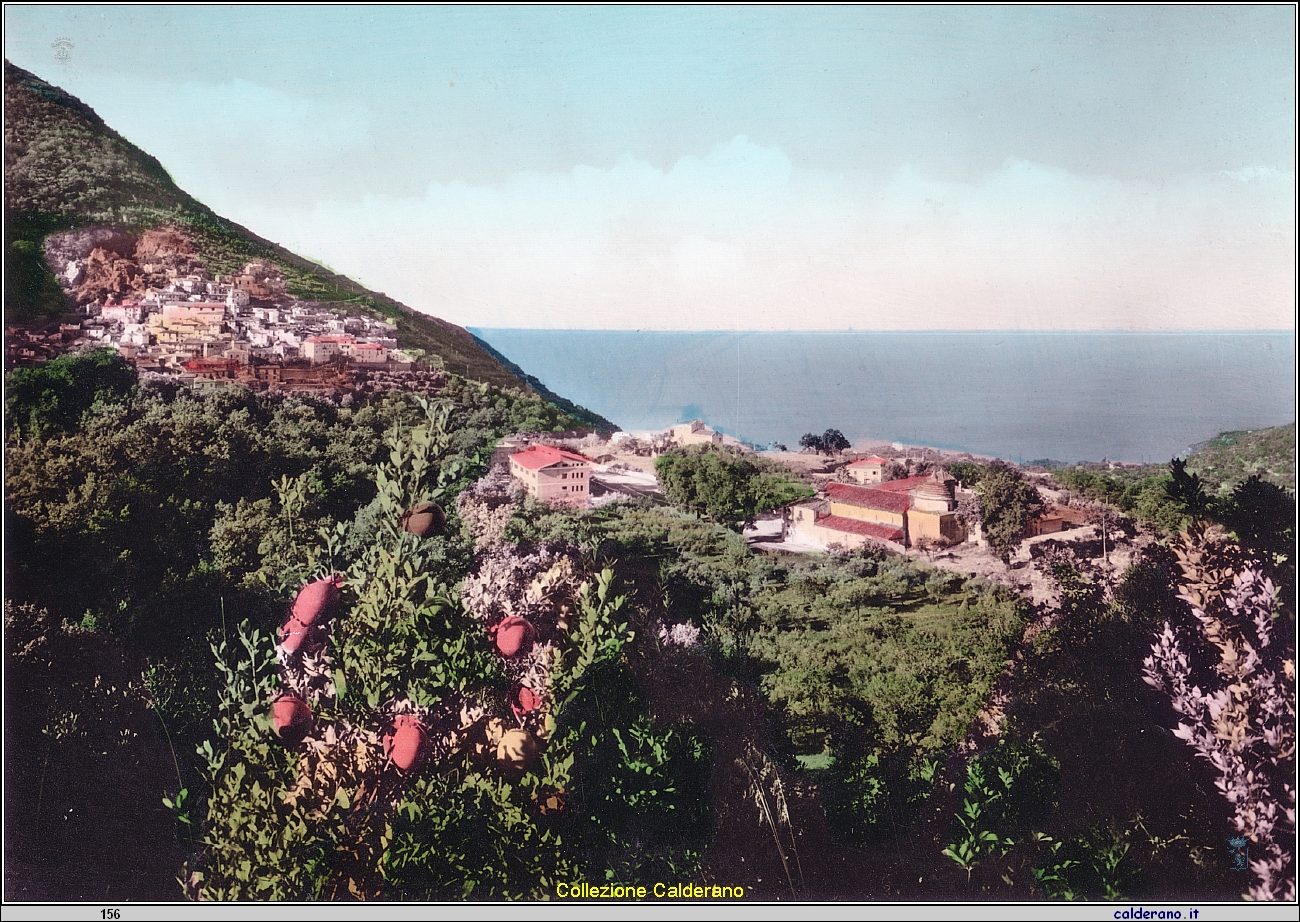 Cartolina - Panorama con sfondo del mare - Edizione Ditta F. & U. Scoppetta.jpeg