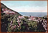 Cartolina - Panorama con sfondo del mare - Edizione Ditta F. & U. Scoppetta.jpeg