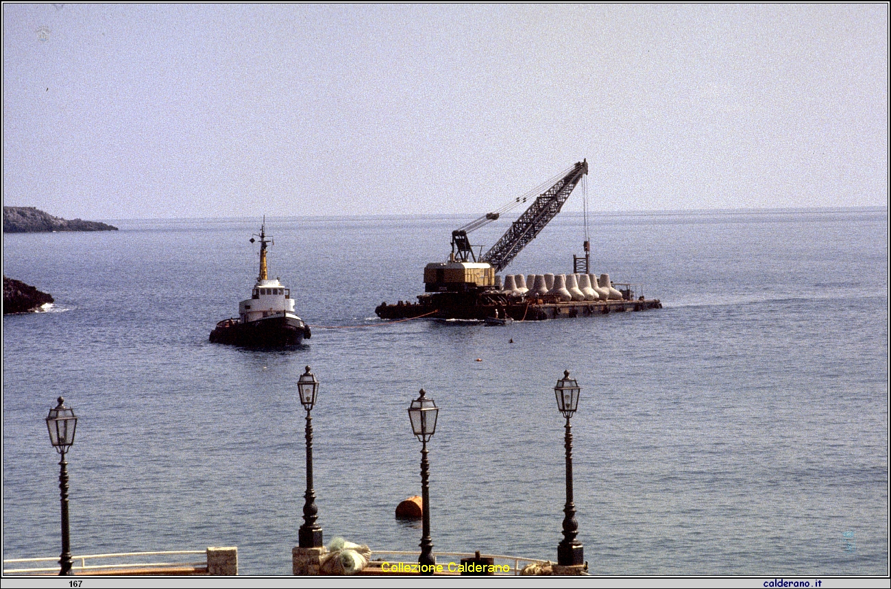 I tetrapodi sul pontone.jpg