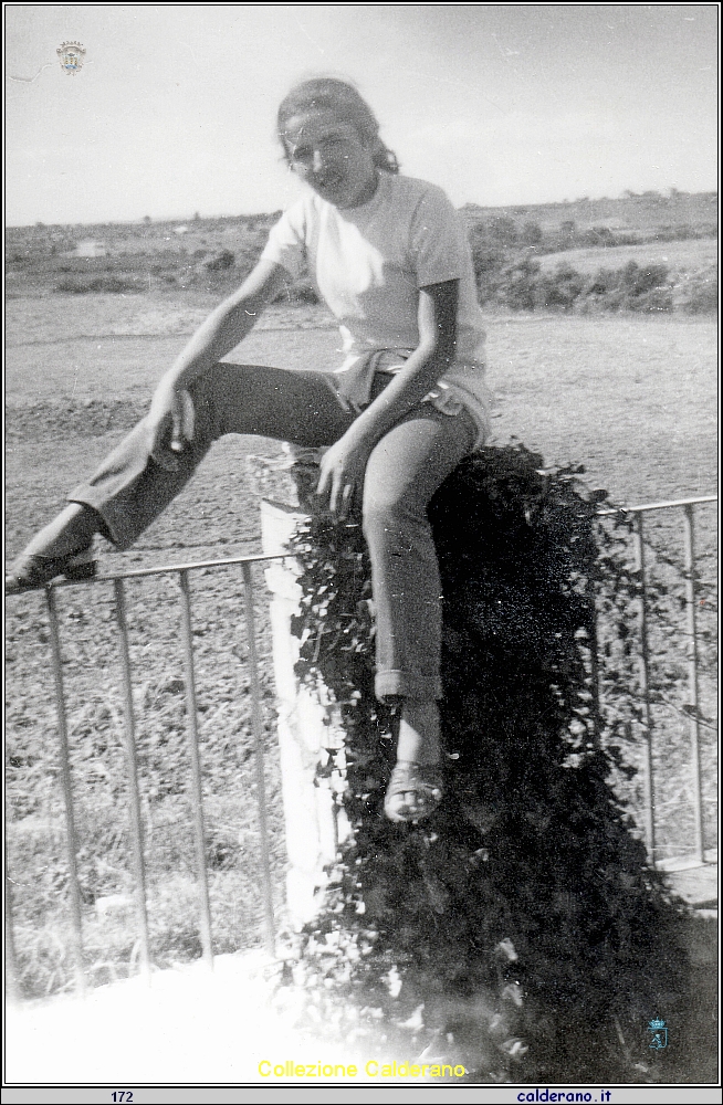 Rosa Di Trani sul pilastro.jpeg