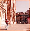 Rosa Di Trani vicino al Duomo.jpeg