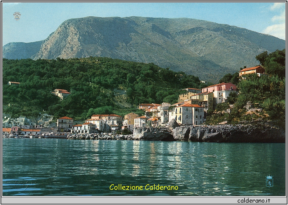 Cartolina 61 Un caratteristico scorcio del porto da Sud-Est - Ed Foto Mario Brando.jpeg