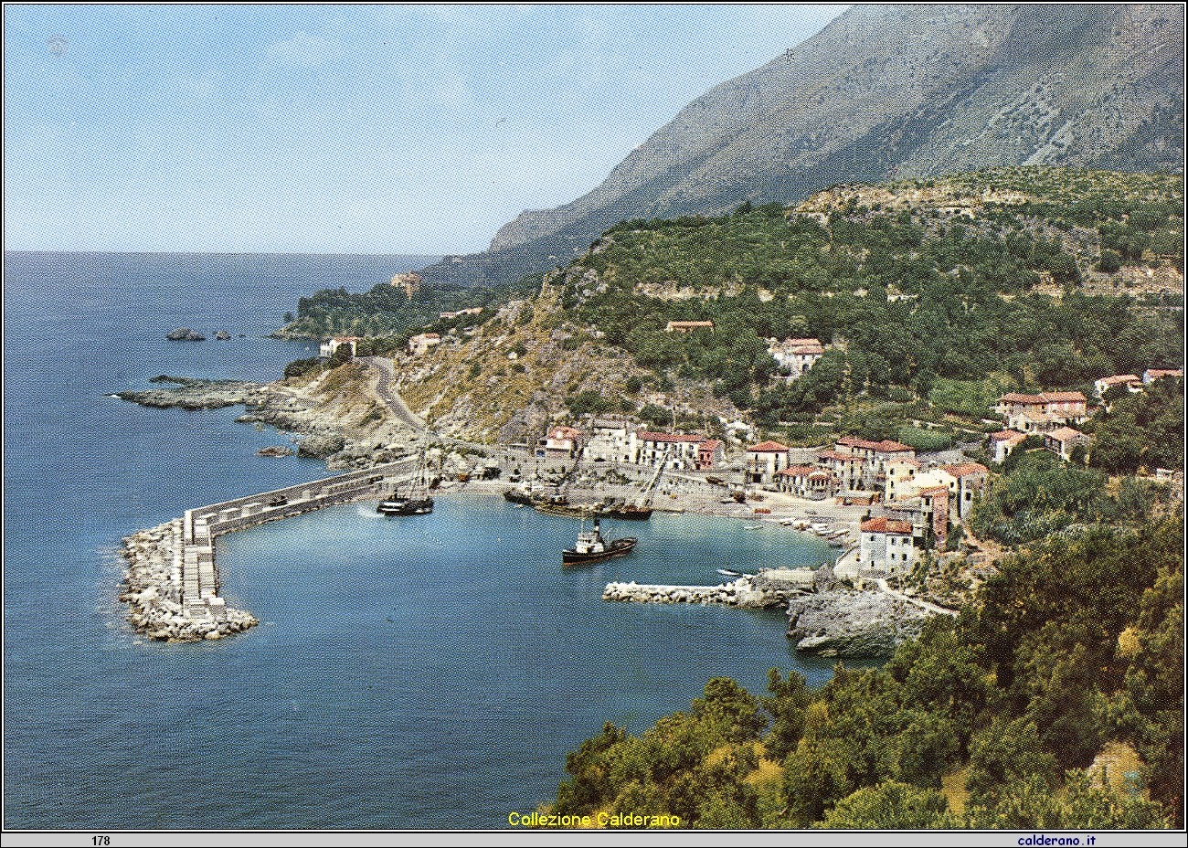 Cartolina - Il Porto - Ed. Mordente Marrello .jpeg