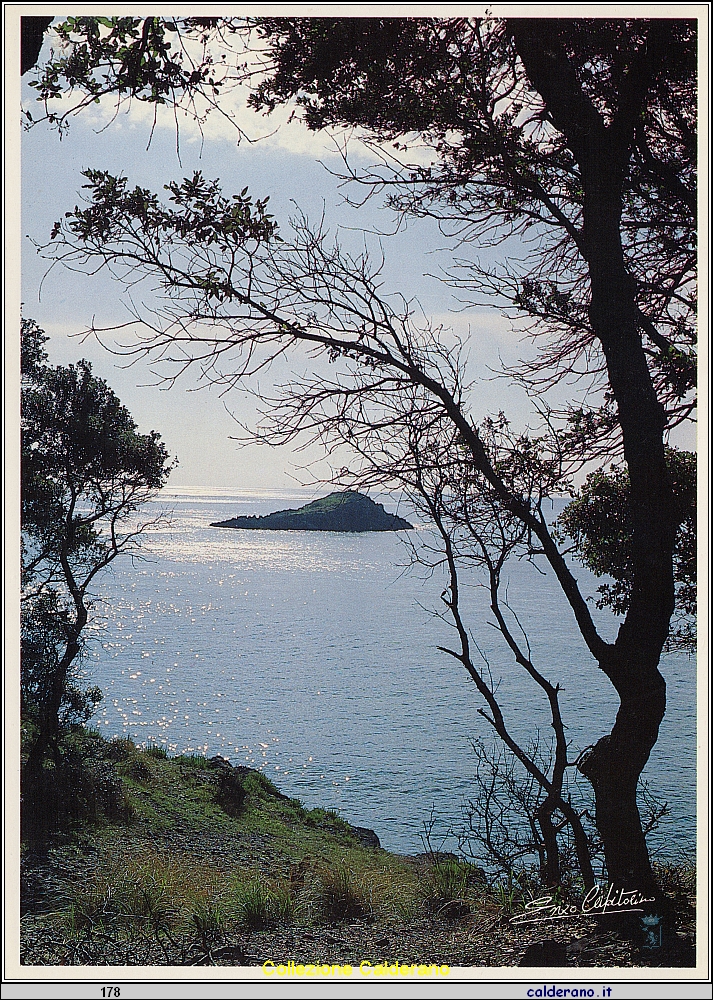 Cartolina - Santojanni  028.jpeg