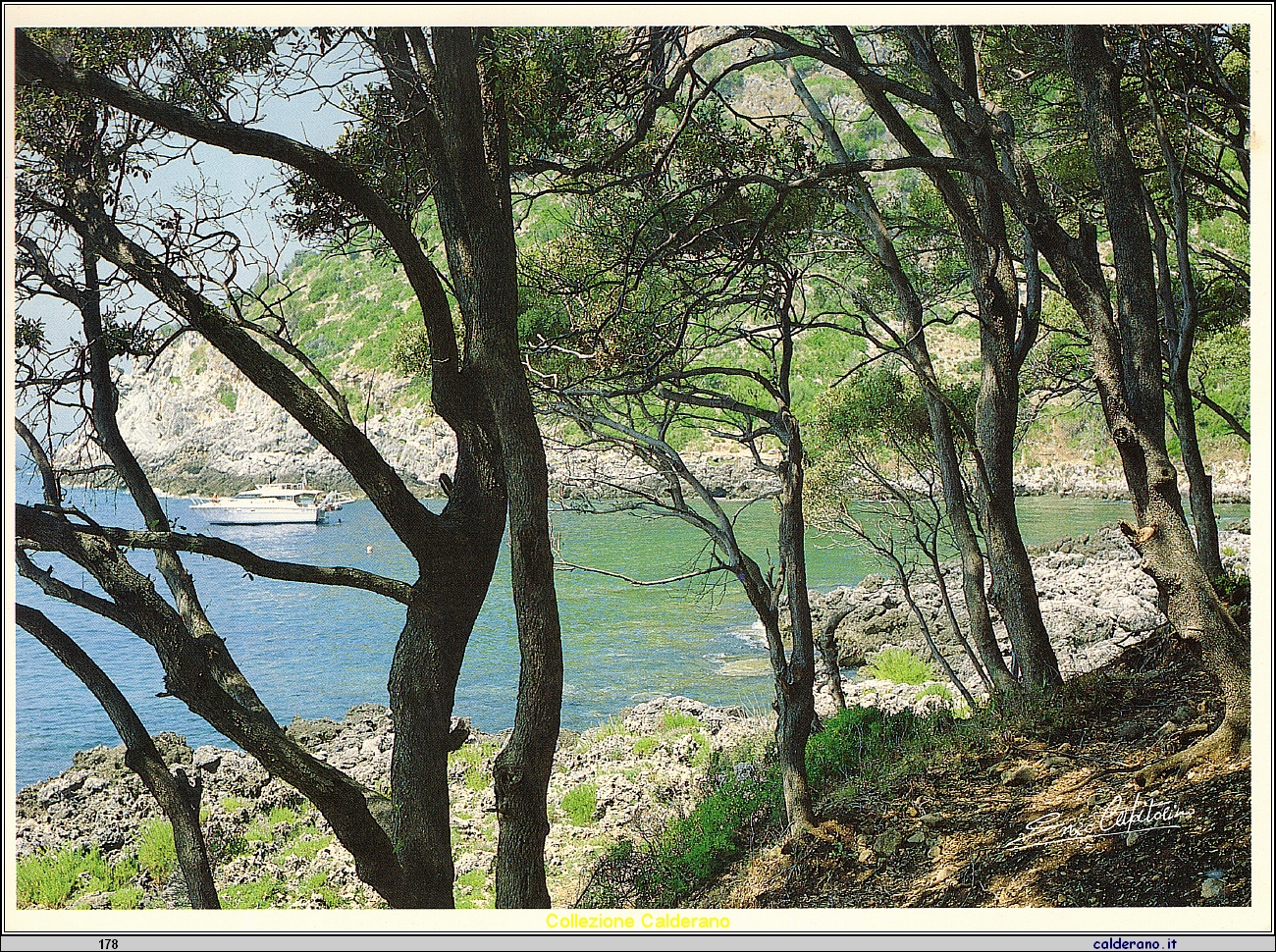 Cartolina - Sotto l'orto  040.jpeg