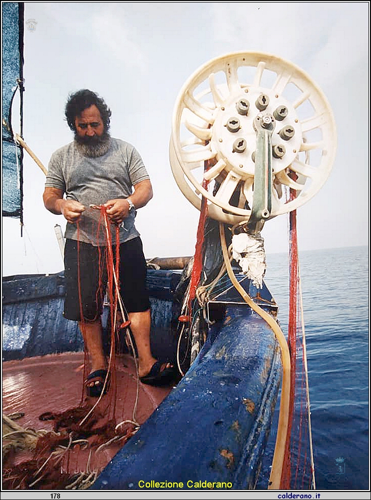 Pino Possidente al ramaglio.jpg