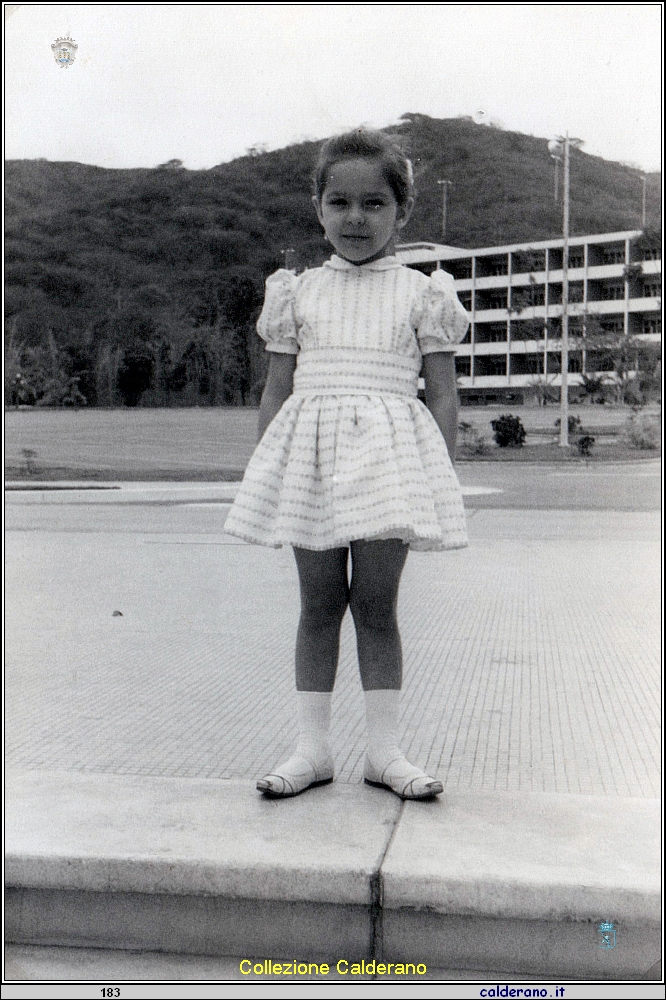 Rossana Limongi 75.jpeg
