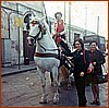 Rosamaria Bosone sul cavallo con Carmelina Mazzeo e Assuntina Avigliano 1970.jpeg