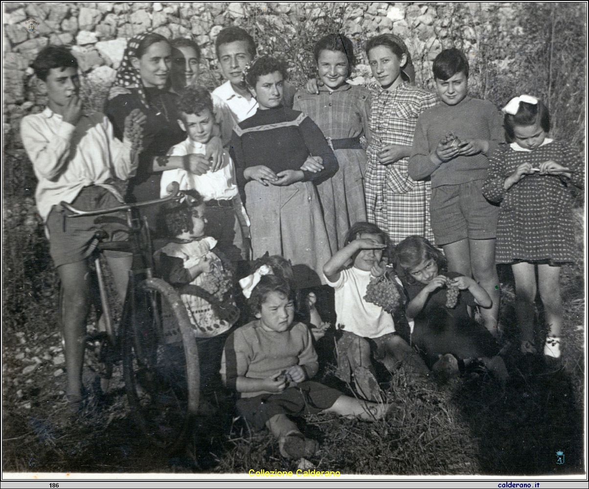 Carmelina Mazzeo a Mormanno durante la vendemmia.jpeg