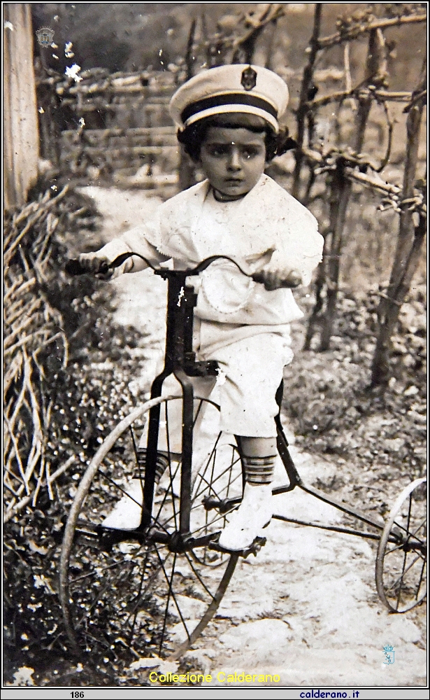 Francesco Brando .jpg