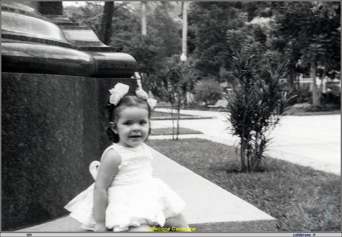 Esmeralda Limongi 100.jpeg