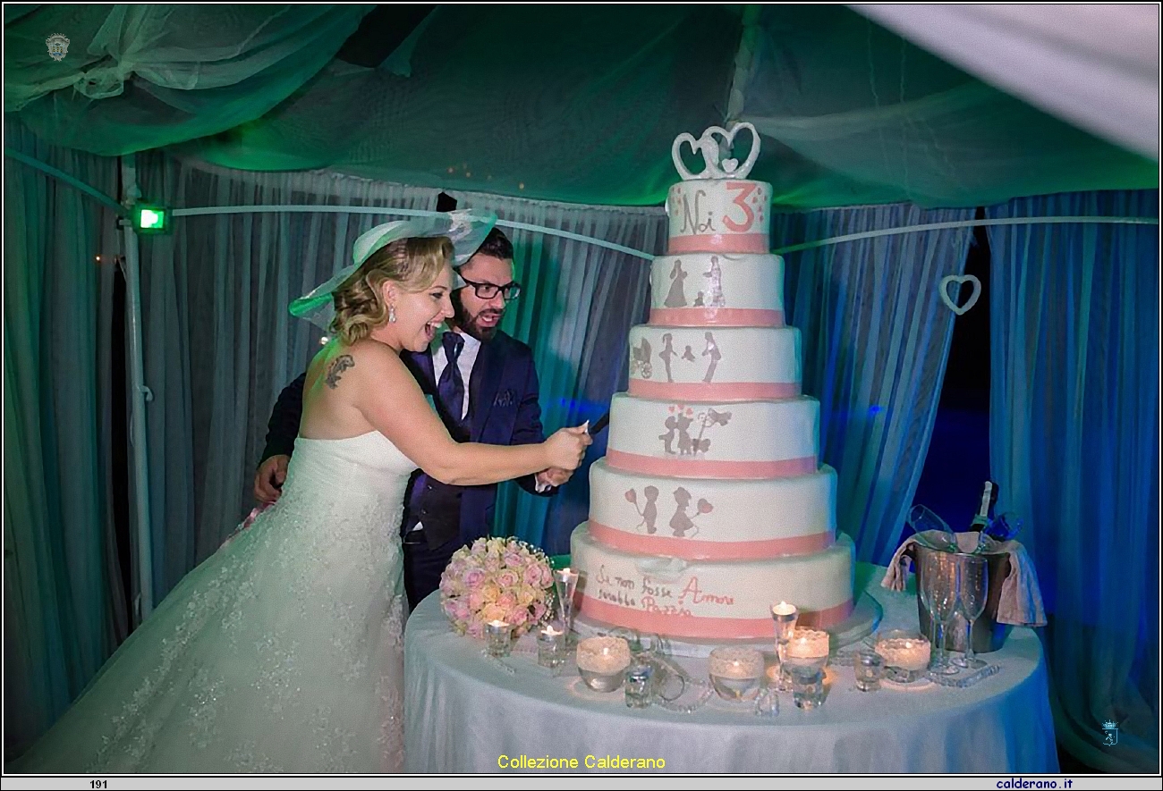 Gli Sposi e la torta nunziale di Mariangela.jpg