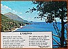 Cartolina - L'olivo di Pasquale Epifanio Iannini .jpg