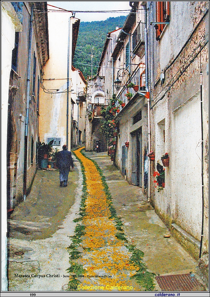 Infiorata in via Sant'Anna 2004.jpeg