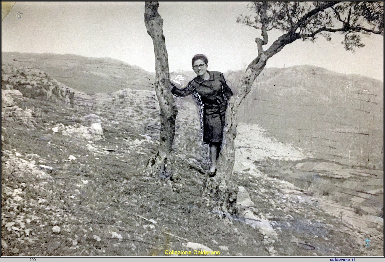 Studentessa del Magistrale Graziosa Zipparro.JPG