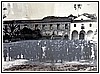 Collegiali del De Pino.JPG