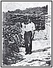 Domenico Di Mingo detto Bagiaglione o Tirringiolo o ancora Lanterna - 1936.jpg
