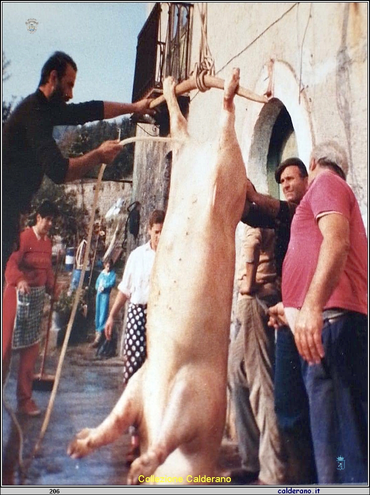 Coiromachia - Preliminari....jpg