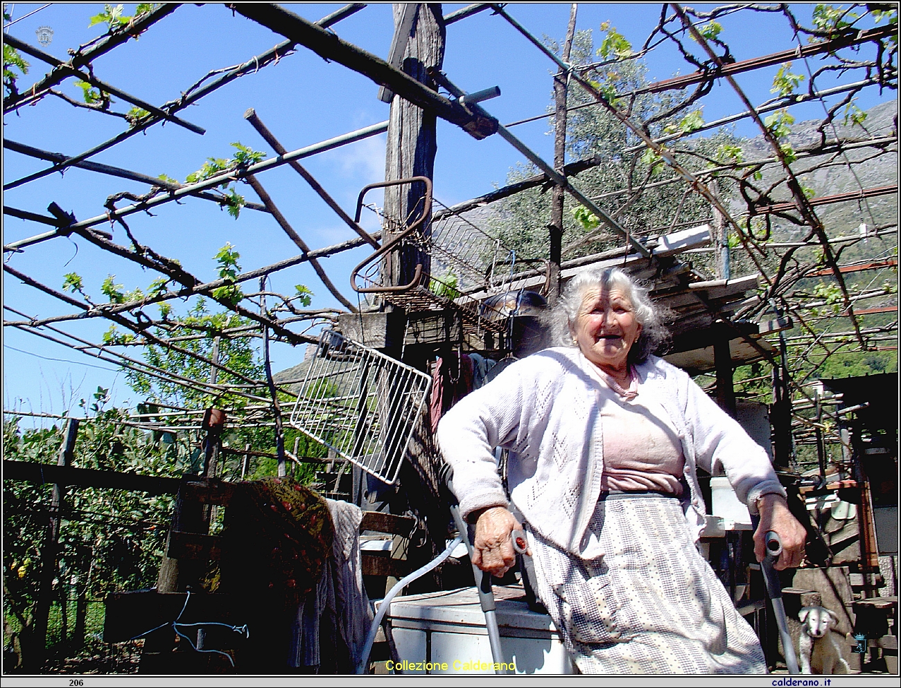 Questua di San Biagio 2005 in casa Schettini .jpg