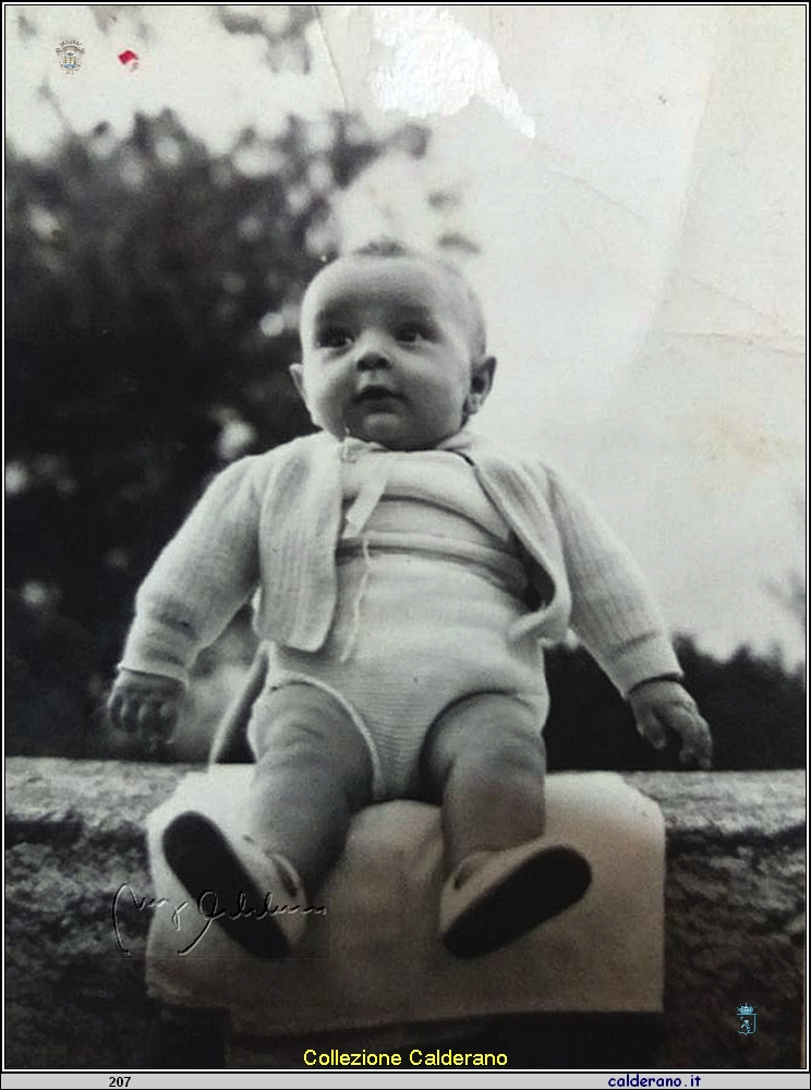 Ivano Sacco.jpg
