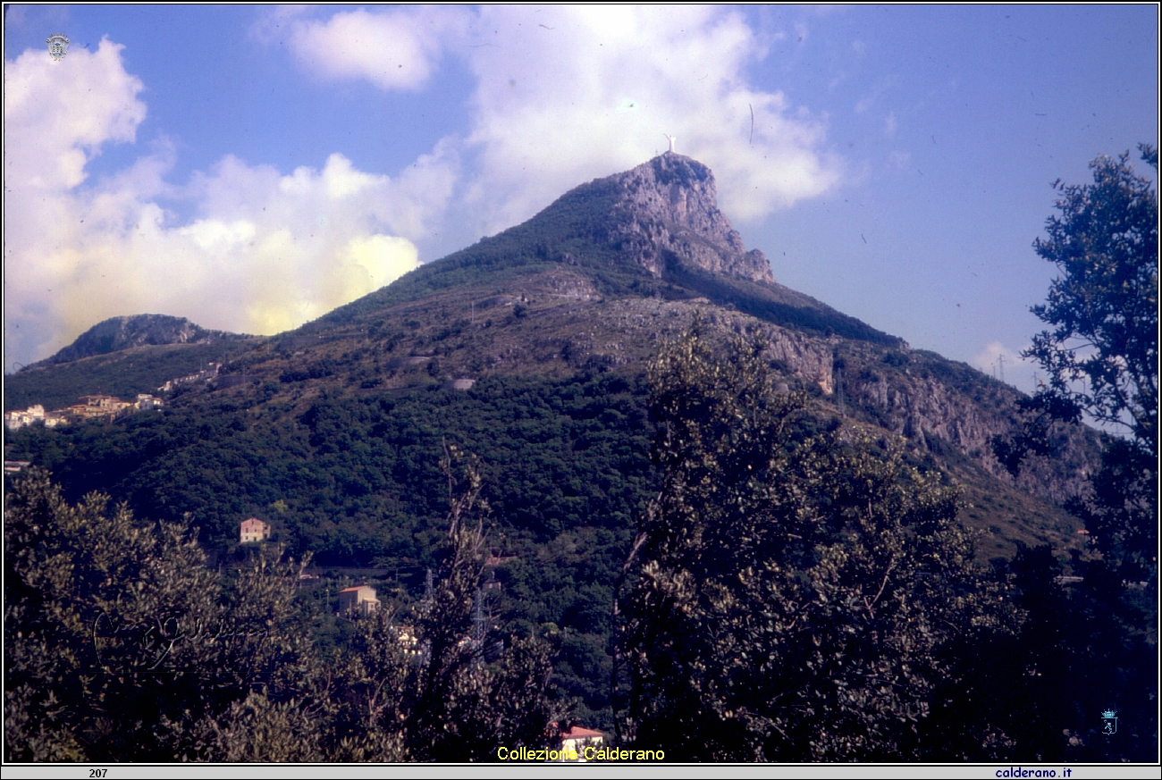Panorama 1981.jpeg