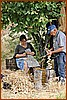 Preparazione delle 'nserte d'aglio.jpg