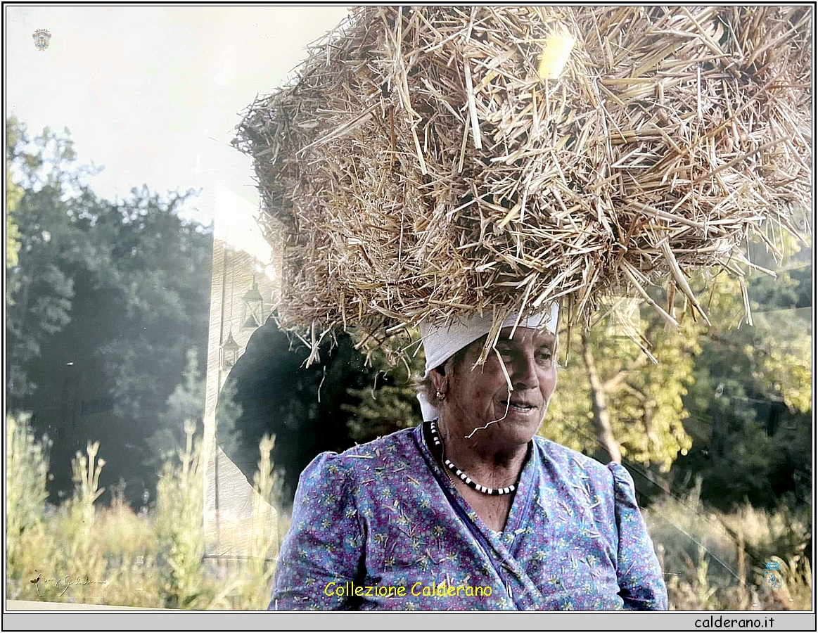 Carmela Martino.jpg