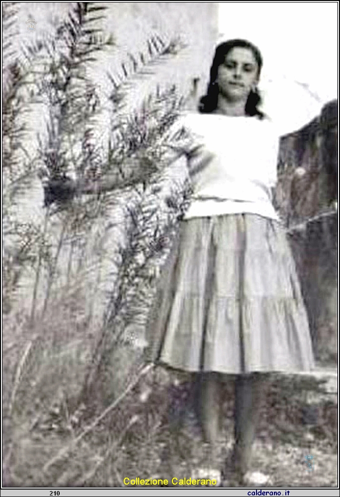 Maria Patti 3.jpg