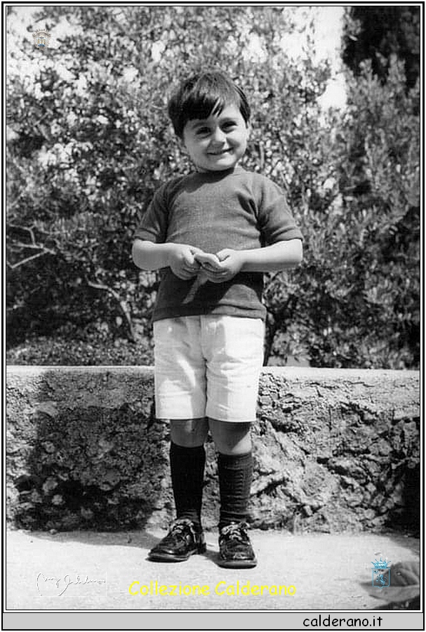 Franco Limongi 4.jpg