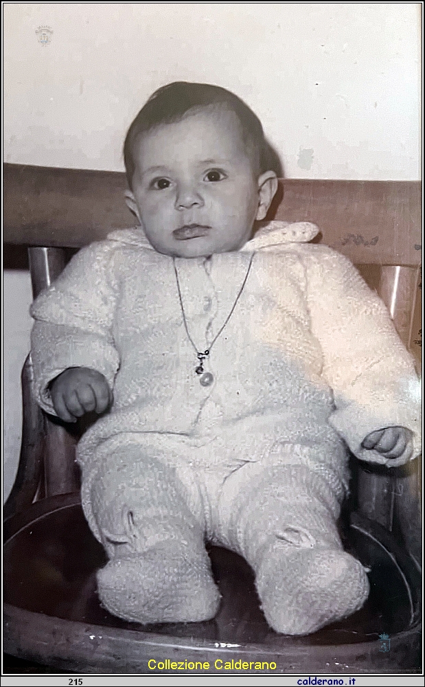 Daniela D'Agostino.jpg