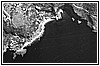 Foto aerea degli Alleati del 1943 del Porto.jpg