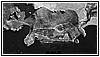 Foto aerea degli Alleati del 1943 della Secca di Castrocucco.jpg