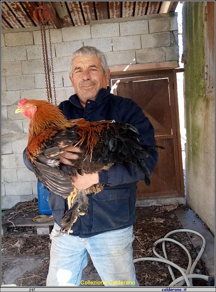 Nicola Latella e il gallo.jpg