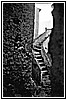 Capocasale img831.jpg
