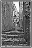 Capocasale img833.jpg